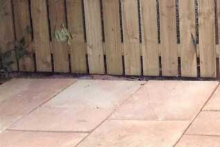 Turfing and lawn renewal