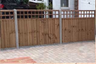 Raised beds and planting